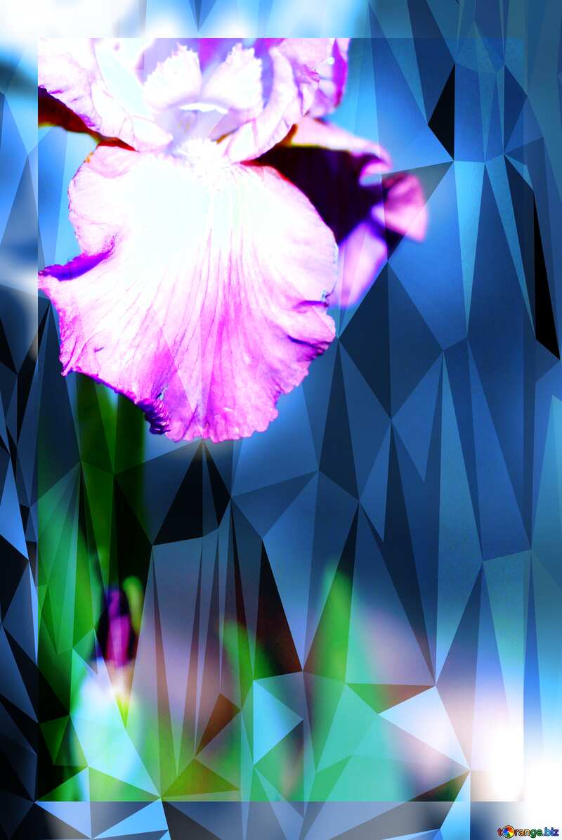 Beautiful flower fuzzy border polygonal background blue №34782