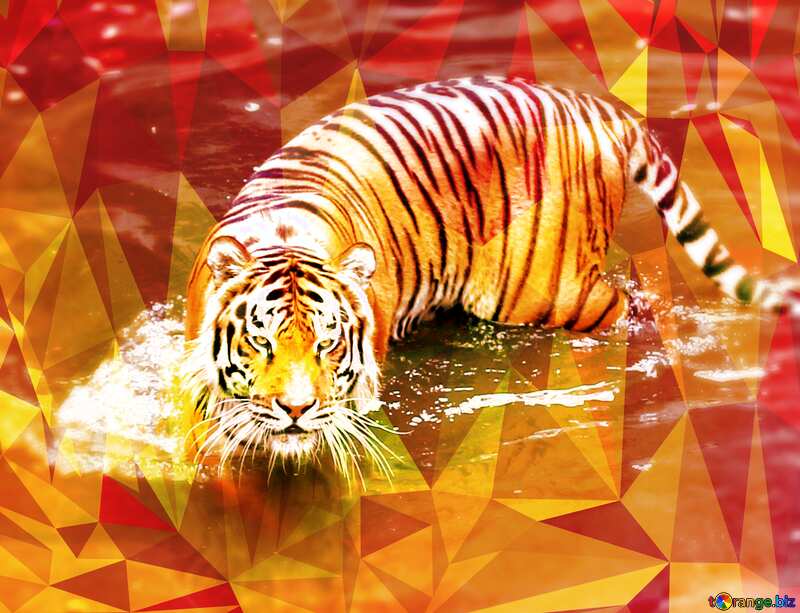 Water tiger polygonal background №45724