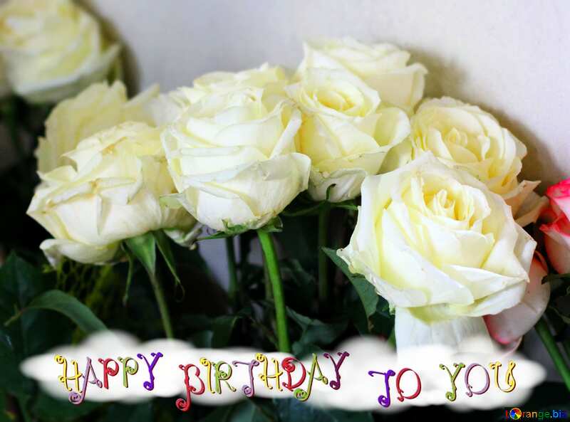 White  roses flowers happy birthday №51710
