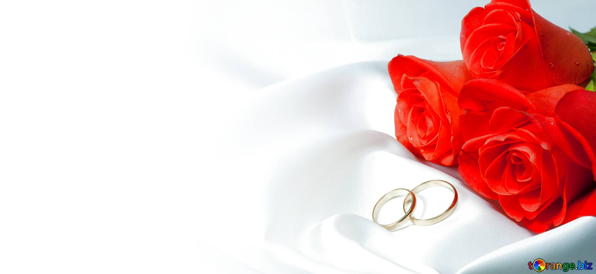 Thư mời cưới đầy màu sắc và lãng mạn sẽ khiến bạn phải bấm ngay vào bức ảnh liên quan. Hãy để tình yêu của bạn bùng nổ và tạo ra một kỷ niệm đáng nhớ với một cuộc tình lãng mạn với thư mời cưới đặc biệt.