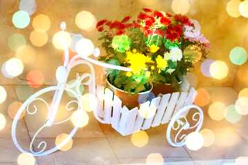 FX №208700 Flowerpot bike Art Greeting Card Background