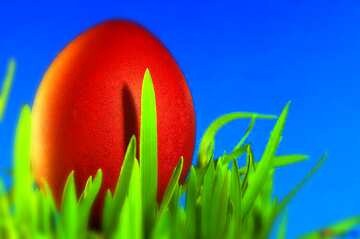 FX №208357 Easter Egg grass Blue background