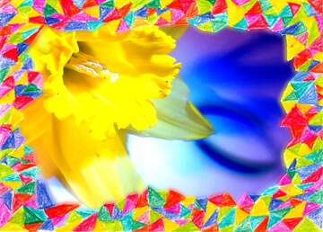 FX №208308 Narcissus Frame colors hand drawn