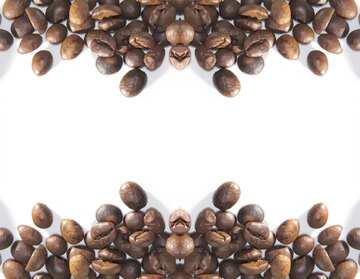 FX №208934 Frame coffee beans pattern