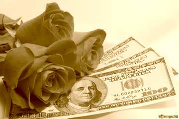 FX №208744 Roses  and  dollars. sepia