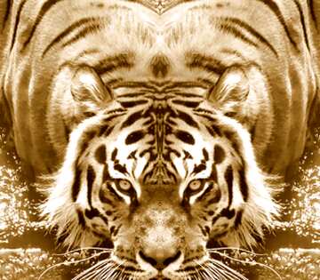 FX №208500 tiger symmetric