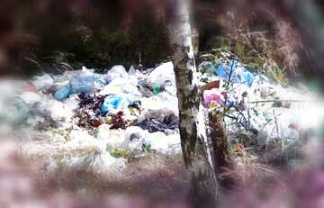 FX №208085 Mountains garbage in forest