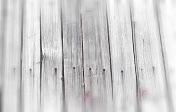 FX №208334 gray  old boards wood  texture