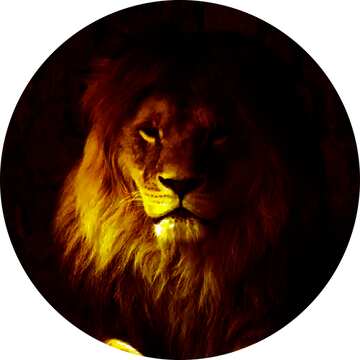 FX №208095 A lion hard dark circle frame
