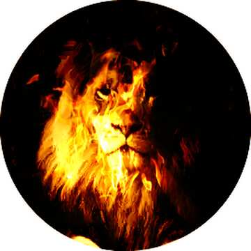 FX №208269 lion fire profile picture
