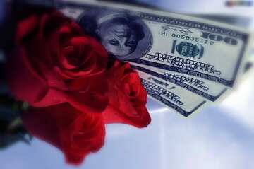 FX №208746 Roses  and  dollars. blue blur frame