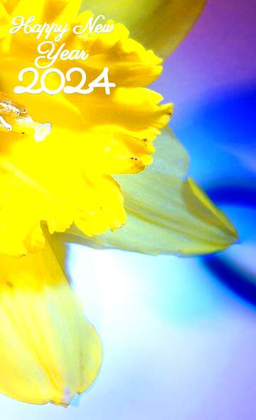 FX №208306 Narcissus flower happy new year 2024