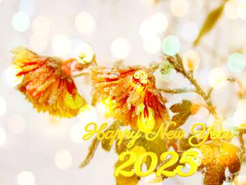 FX №208784 Winter flower happy  new year 2024