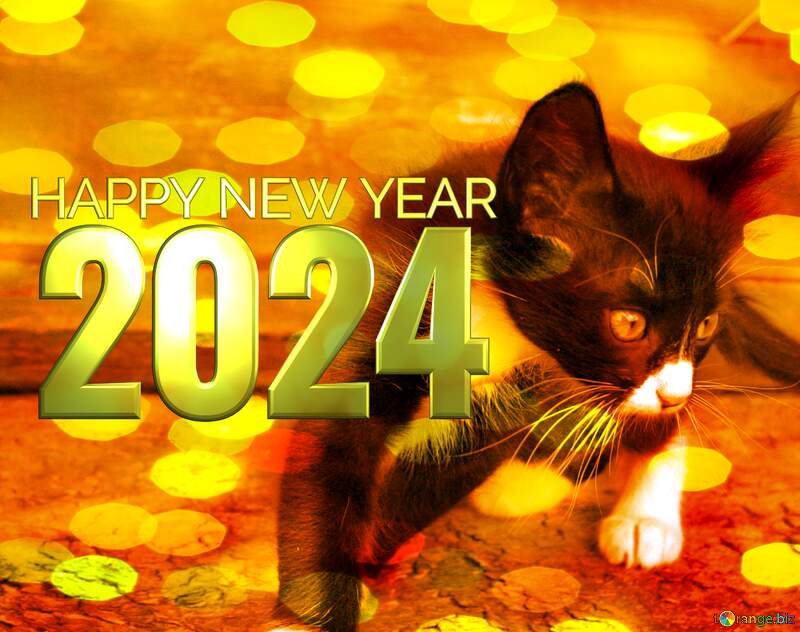 Kitten Christmas bokeh background happy new year 2024 №7496