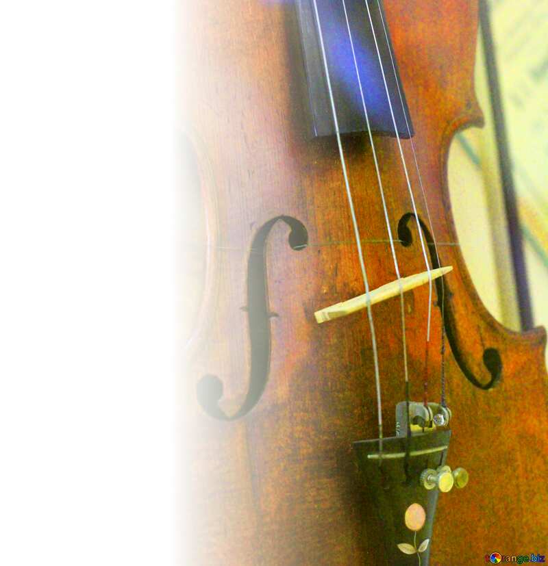 Antique violin white background left №44203