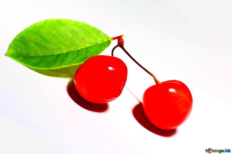 two cherries isolated  blur frame №33193