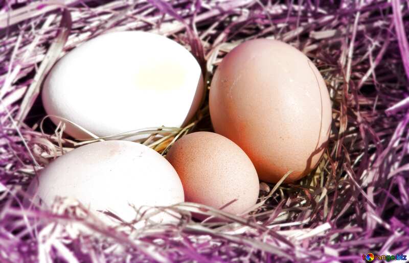 Eggs in the nest blur frame №1069