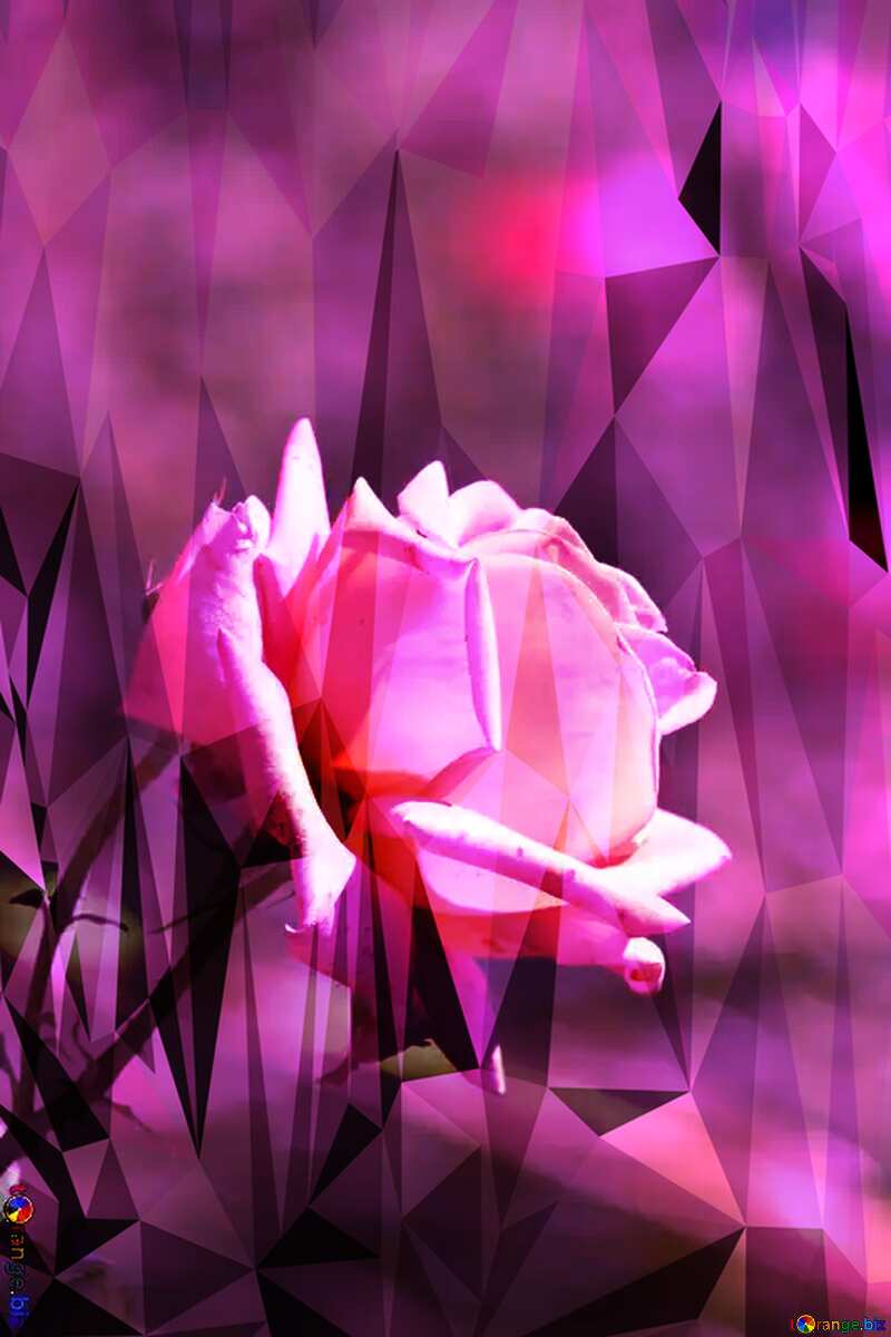 Pink rose Polygonal violet pink background №4210