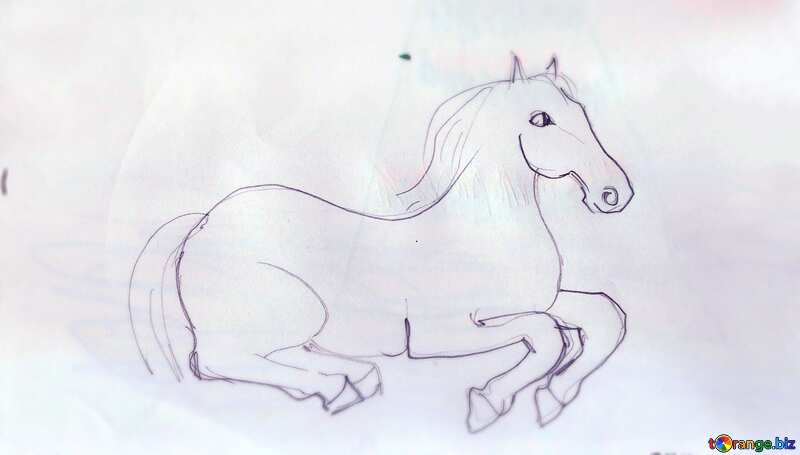 Pencil sketch of horse blue blur frame №18703