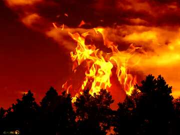 FX №209334 The sky above the forest Fire Hot