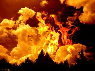 FX №209335 Beautiful sky above the forest Fire Hot