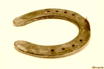 FX №209256 Horseshoe sepia