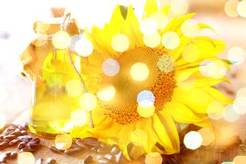 FX №209642 sunflower oil background bokeh glitter