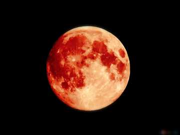 FX №209574 Full moon red colors