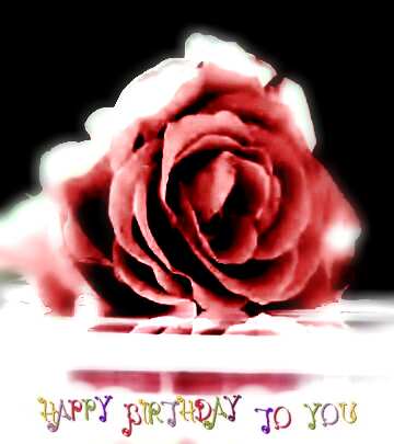 FX №209496 Happy birthday rose flower  background