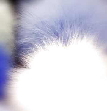 FX №209897 fluffy blue blur frame