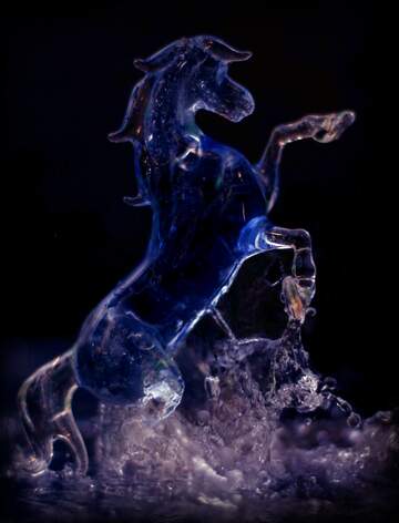 FX №209295 Horse and water splashes blue dark