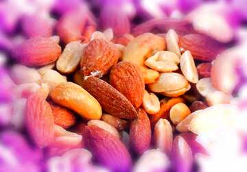 FX №209592 Mixture of nuts frame