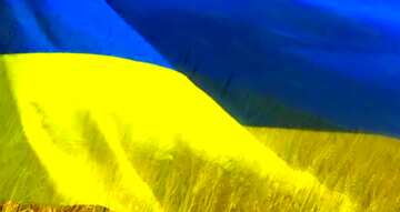FX №209218 Ukraine Flag
