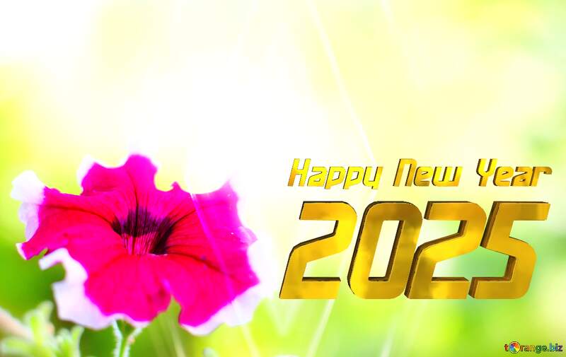 Beautiful background with flower happy new year 2025 №33457