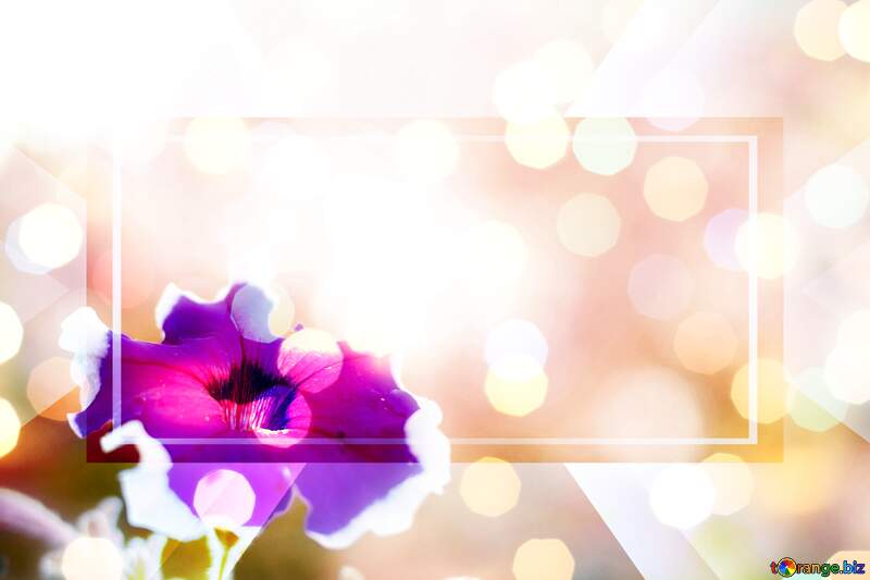 responsive background with flower №33457