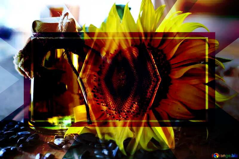 sunflower oil pattern background business №32723