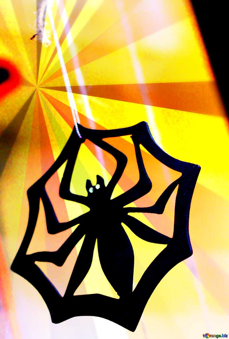 Halloween spider background rays colors №47241