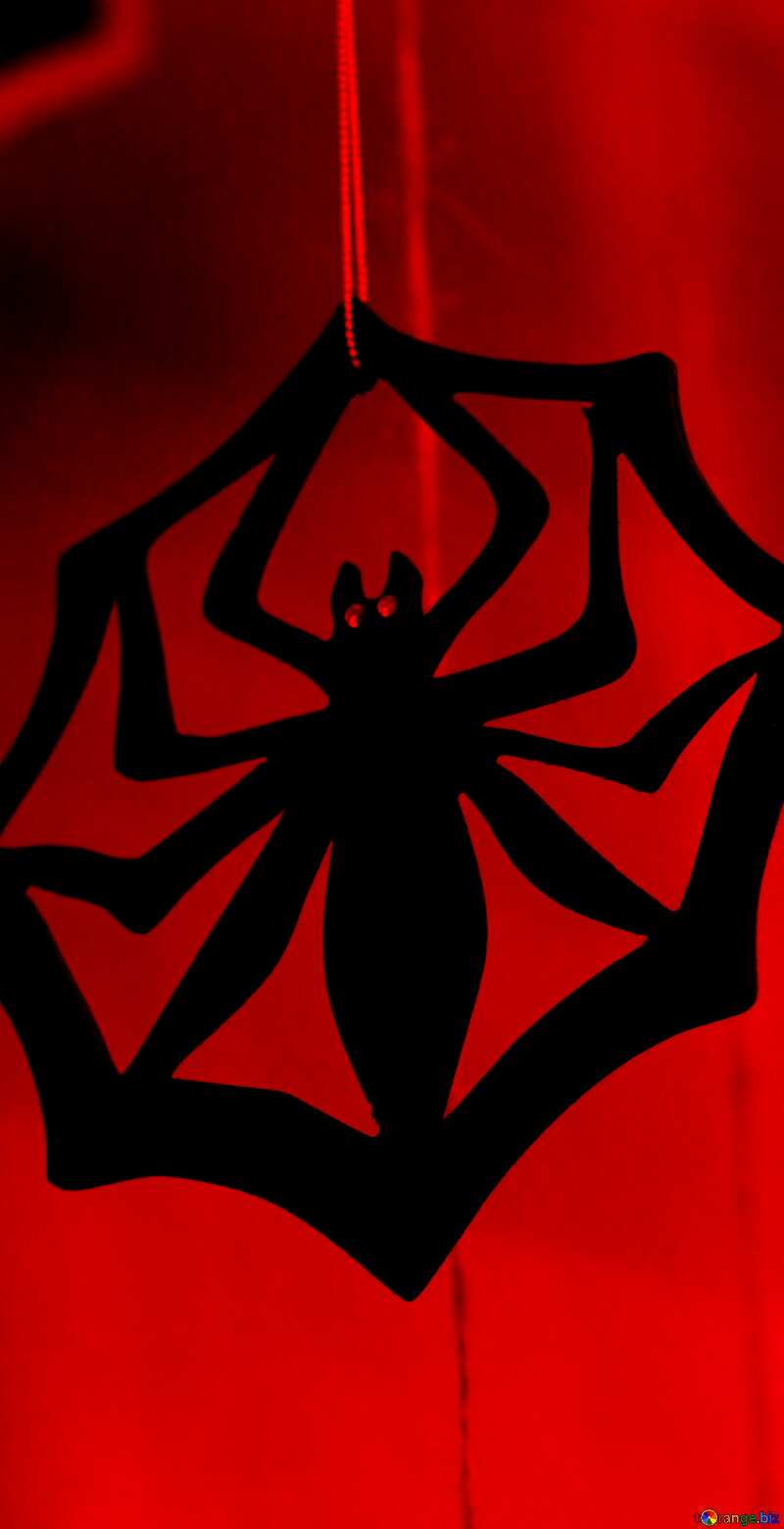 Halloween spider background dark №47241