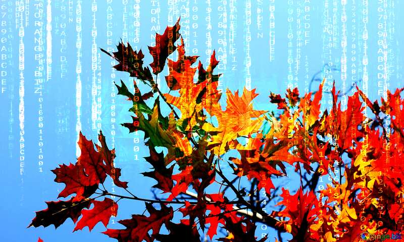 Digital Autumn desktop wallpapers №38532