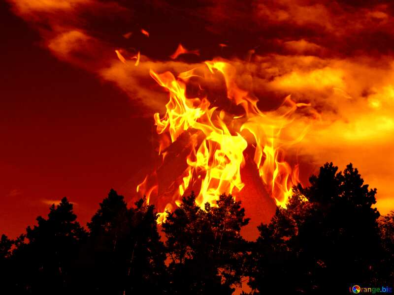 The sky above the forest Fire Hot №36440