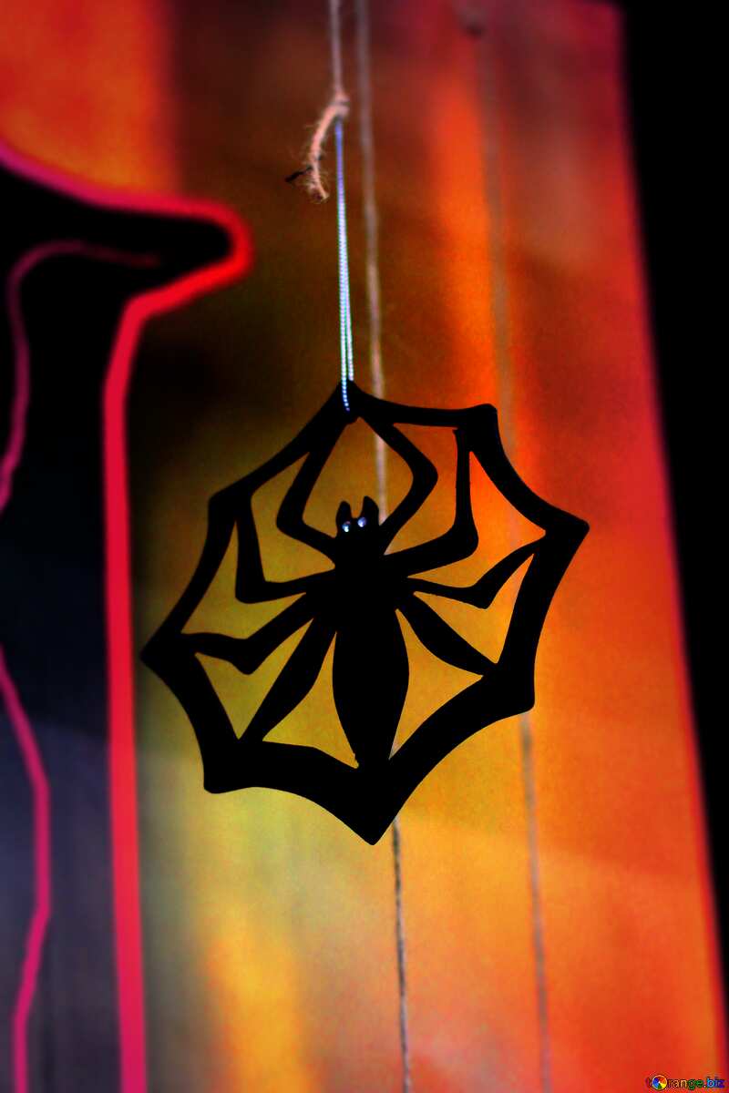 Halloween spider background blur frame №47241
