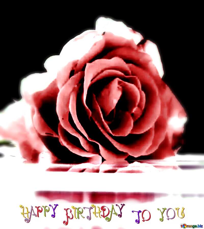 Happy birthday rose flower  background №16920