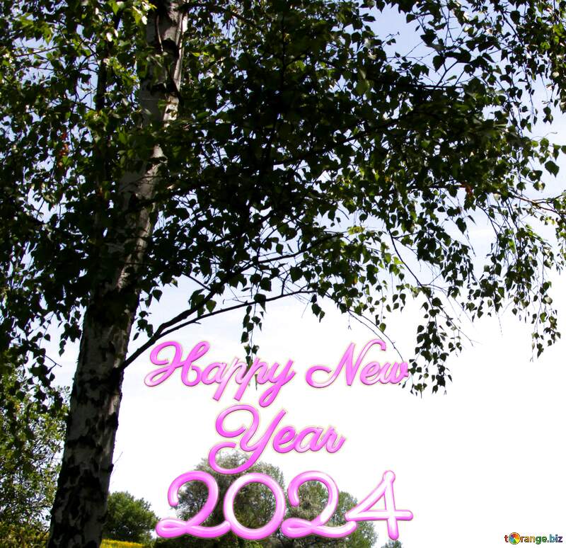 nature happy new year 2024 №20269
