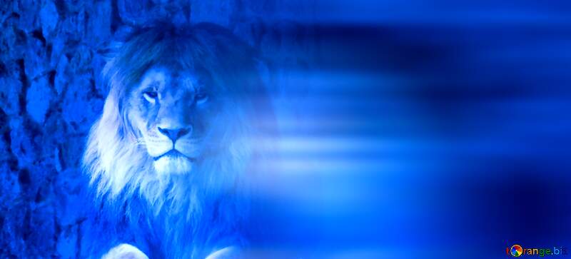 A lion blur left side blue card №44974
