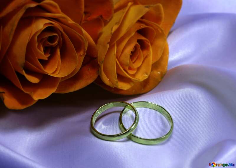 two ring and roses №7251
