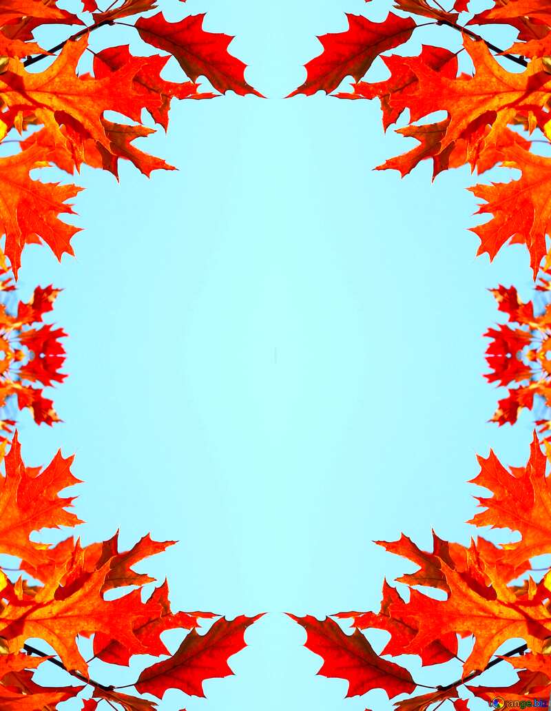 Autumn frame leaves №38532