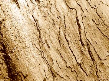 FX №21274 Beige color. The bark of old wood.