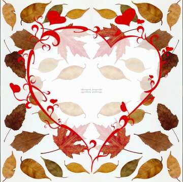 FX №21164 The best image. Autumn leaves on a white background.