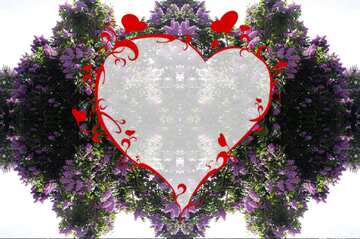 FX №21186 The best image. Violent flowering of lilac.