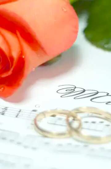 FX №21481 card rose rings music note